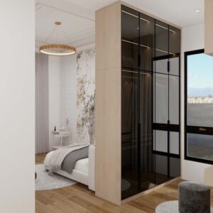 Elegant Closet Room Divider with Sleek Black Glass Doors
