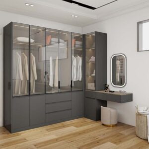 Luxurious Modern Black Closet with Glass-Front Doors